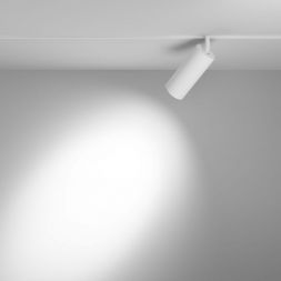 Трековый светодиодный светильник Maytoni Technica Focus Led TR032-4-20W3K-S-DS-W