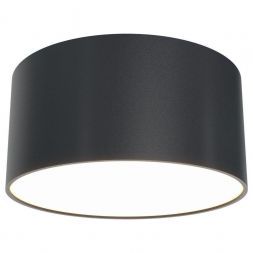Потолочный светодиодный светильник Maytoni C032CL-L12B3K