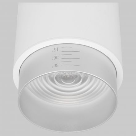 Накладной светодиодный светильник Cors 25032/LED 10W 4200K белый/серебро Elektrostandard