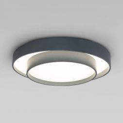 Потолочный светильник Eurosvet 90331/2 серый