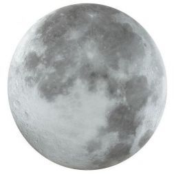 Настенно-потолочный светодиодный светильник Sonex 3084/CL Moon