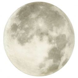 Настенно-потолочный светодиодный светильник Sonex 3084/CL Moon