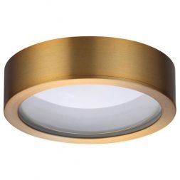 Потолочный светодиодный светильник Odeon Light 4342/7CL Reus