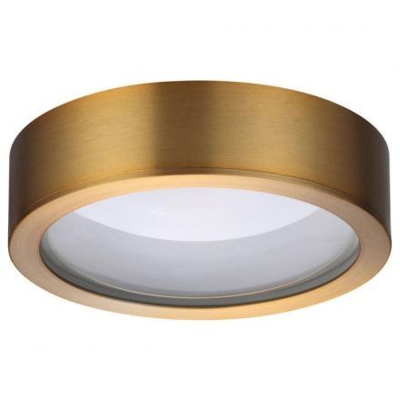 Потолочный светодиодный светильник Odeon Light 4342/7CL Reus