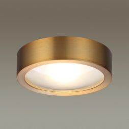 Потолочный светодиодный светильник Odeon Light 4342/7CL Reus
