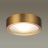 Потолочный светодиодный светильник Odeon Light 4342/7CL Reus