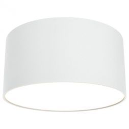 Потолочный светодиодный светильник Maytoni C032CL-L12W3K