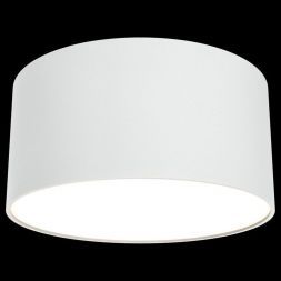 Потолочный светодиодный светильник Maytoni C032CL-L12W3K