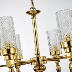 Подвесная люстра Favourite 2812-6P Anima