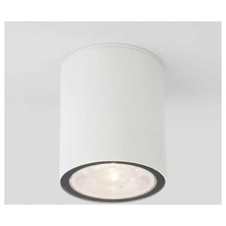 Уличный потолочный светильник Light LED 2103 IP65 Elektrostandard 35131/H белый