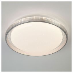 Светодиодный потолочный светильник Eurosvet 40016/1 LED серебряный