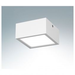 Точечный светильник Lightstar 213926