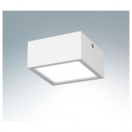 Точечный светильник Lightstar 213926