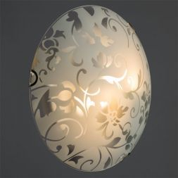 Настенно-потолочный светильник Arte Lamp A4120PL-2CC