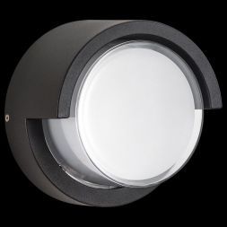 Уличный светодиодный светильник Lightstar 382173