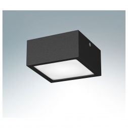 Точечный светильник Lightstar 213927