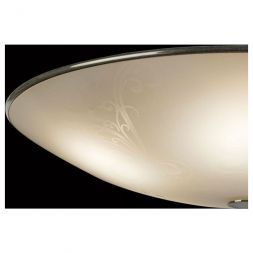 Светильник настенно-потолочный Citilux CL911503
