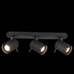 Спот ST Luce SL597.401.03 FANALE