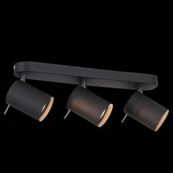 Спот ST Luce SL597.401.03 FANALE