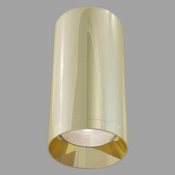 Потолочный светильник Maytoni C010CL-01G