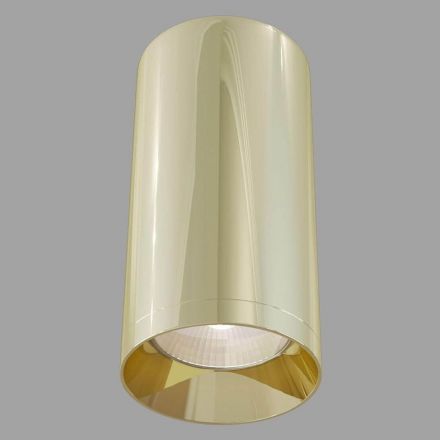 Потолочный светильник Maytoni C010CL-01G