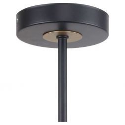 Потолочная люстра F-Promo 2844-5P Rigor
