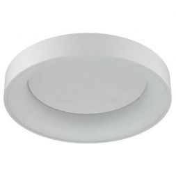 Потолочный светодиодный светильник Odeon Light 4062/50CL