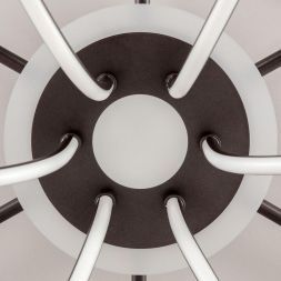 Потолочный светодиодный светильник Citilux CL229A165E