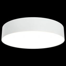 Потолочный светодиодный светильник Maytoni C032CL-L43W3K