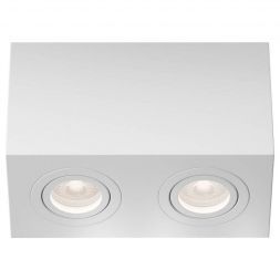Потолочный светильник Maytoni Technical C017CL-02W Atom