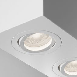 Потолочный светильник Maytoni Technical C017CL-02W Atom
