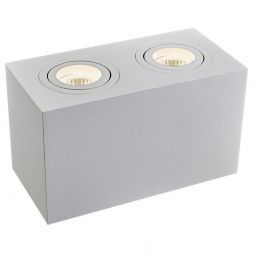 Потолочный светильник Maytoni Technical C017CL-02W Atom