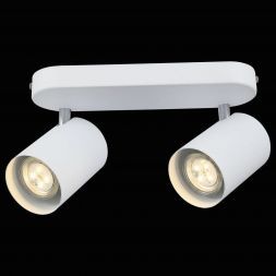 Спот ST Luce SL597.501.02 FANALE