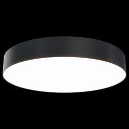 Потолочный светодиодный светильник Maytoni C032CL-L48B3K
