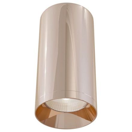 Потолочный светильник Maytoni C010CL-01RG