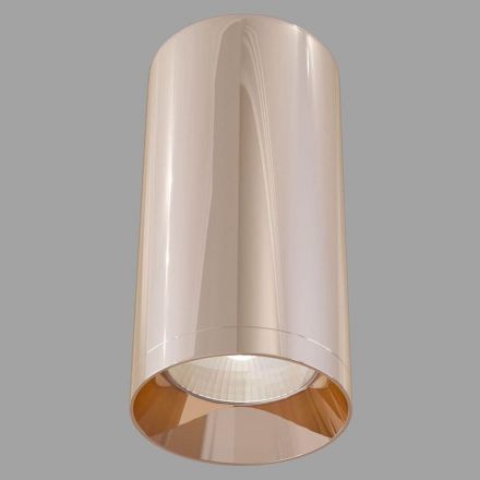 Потолочный светильник Maytoni C010CL-01RG