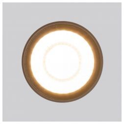Уличный потолочный светильник Light LED 2105 IP54 Elektrostandard 35132/H черный