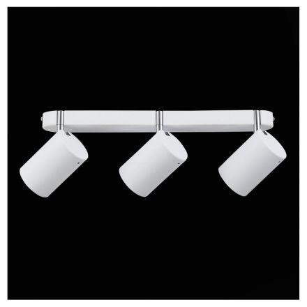 Спот ST Luce SL597.501.03 FANALE