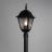 Светильник Arte Lamp A1016PA-1BK