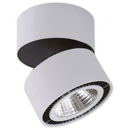Накладной светильник Lightstar 213839