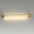 Настенный светодиодный светильник Odeon Light 4396/6WL Dalia