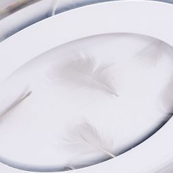 Потолочный светодиодный светильник Arte Lamp A1397PL-1CL
