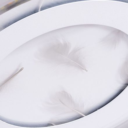 Потолочный светодиодный светильник Arte Lamp A1397PL-1CL