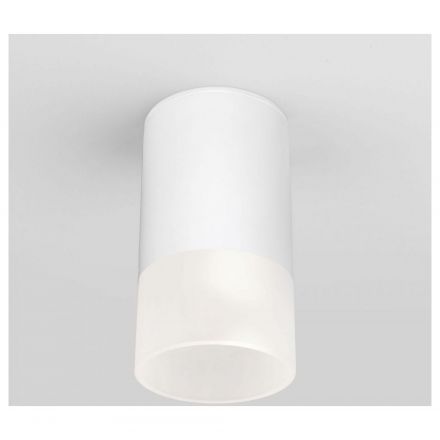 Уличный потолочный светильник Light LED 2106 IP54 Elektrostandard 35139/H белый