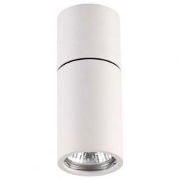 Потолочный светильник Odeon Light 3582/1C