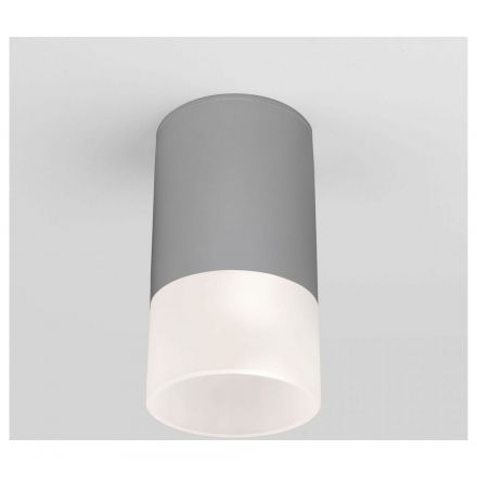 Уличный потолочный светильник Light LED 2106 IP54 Elektrostandard 35139/H серый