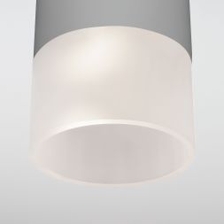 Уличный потолочный светильник Light LED 2106 IP54 Elektrostandard 35139/H серый