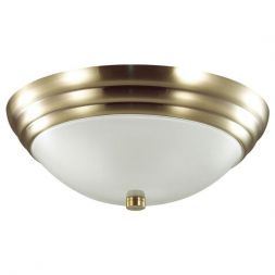 Настенно-потолочный светильник Lumion 5262/2C