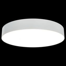 Потолочный светодиодный светильник Maytoni C032CL-L48W3K