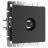 ТВ-розетка проходная Werkel W1184008 черный матовый (WL08-TV-2W)